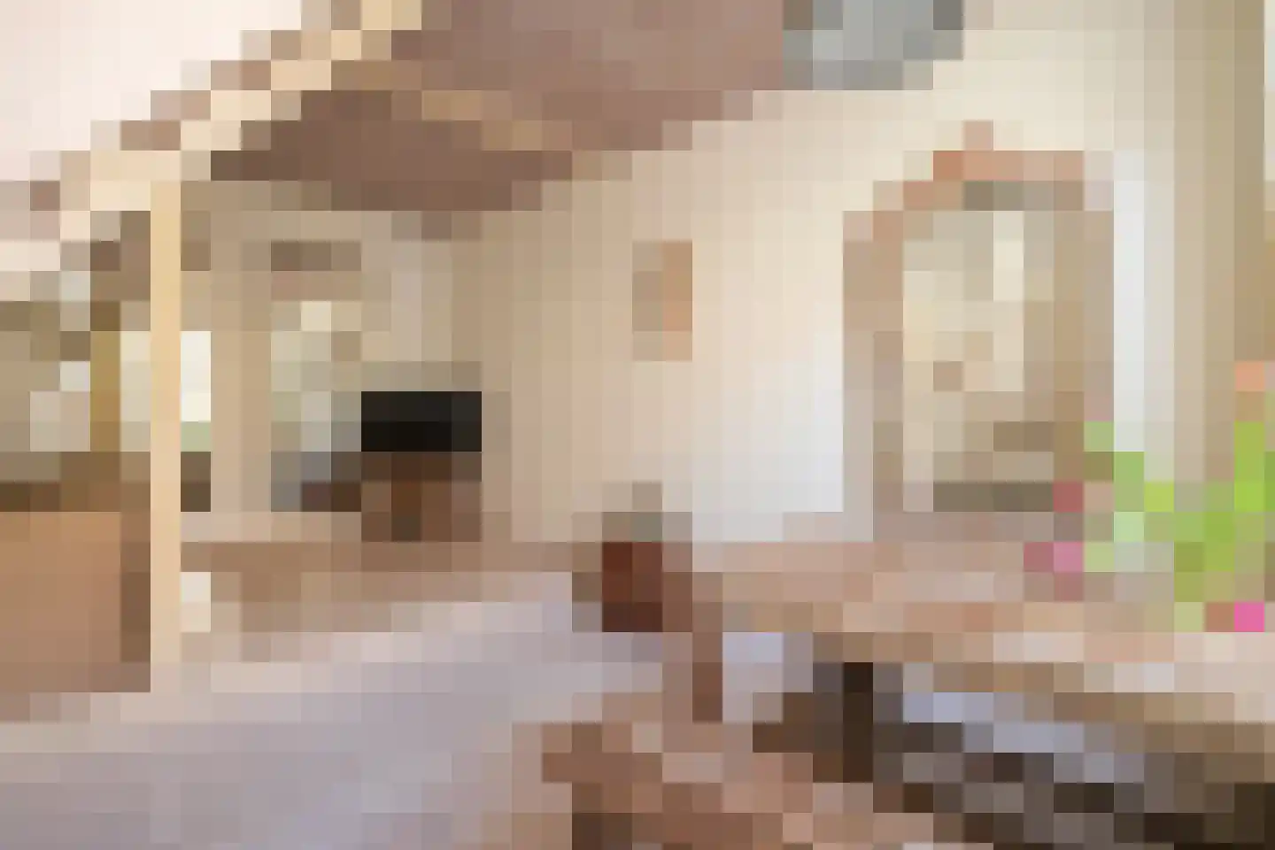Zeilstraat 75 Den Haag thumbnail 5