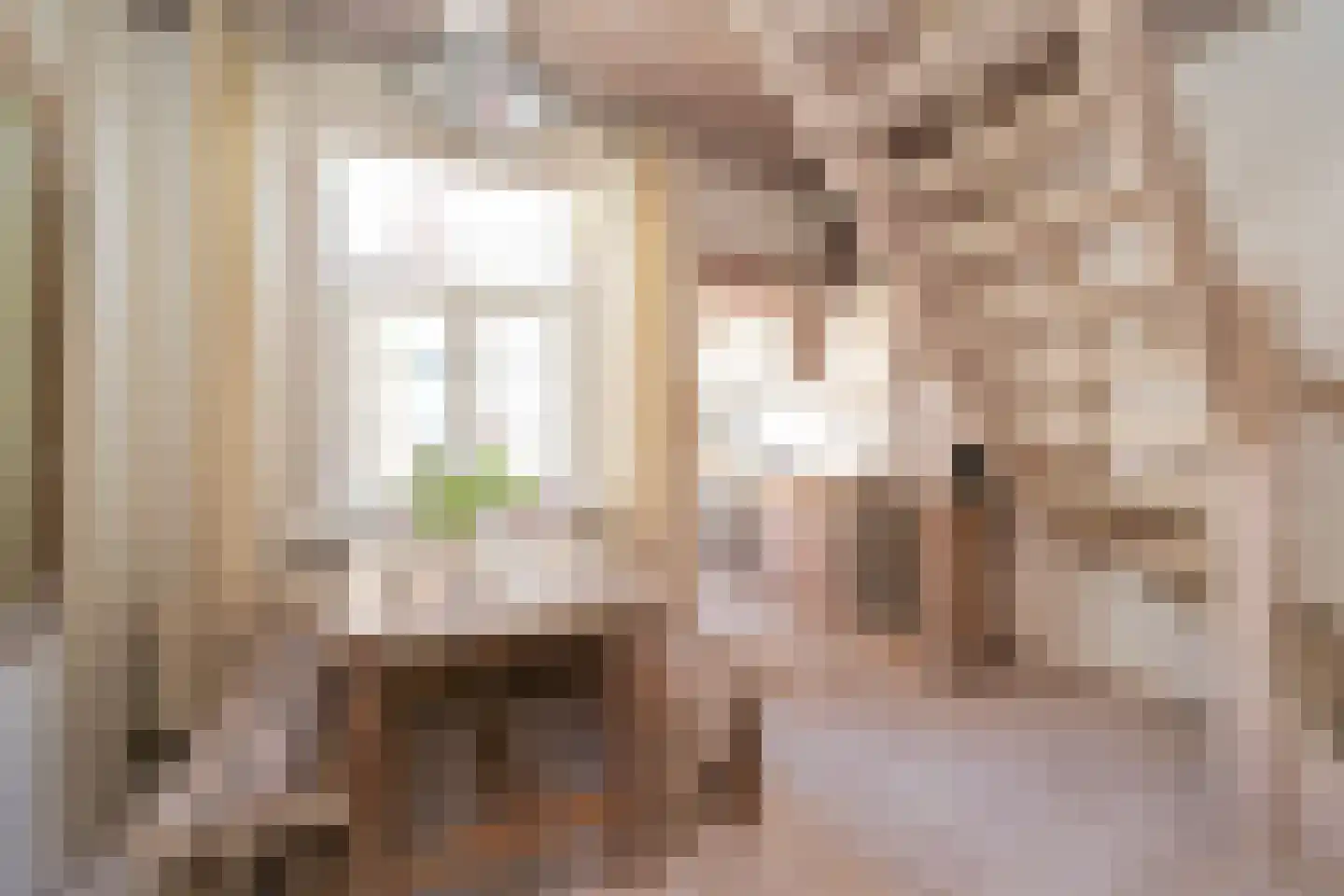 Zeilstraat 75 Den Haag thumbnail 6