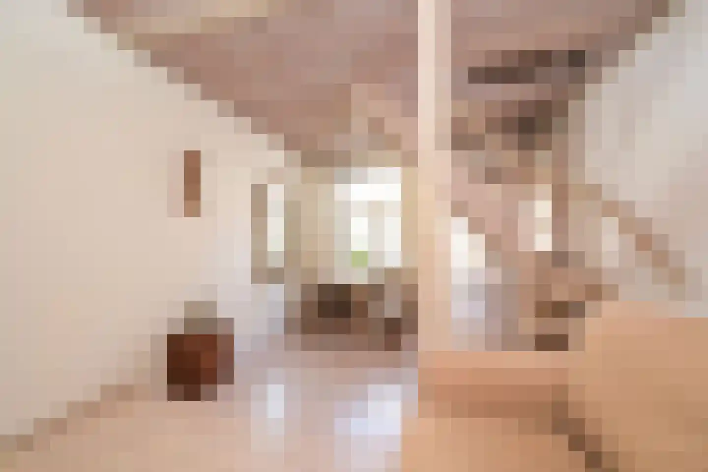 Zeilstraat 75 Den Haag thumbnail 7