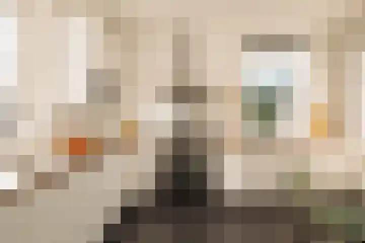 Zeilstraat 9 3 Amsterdam thumbnail 9