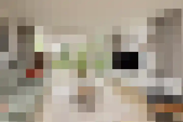 Zeilstraat 9 Sneek thumbnail 11