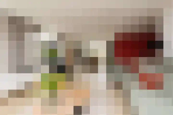 Zeilstraat 9 Sneek thumbnail 12