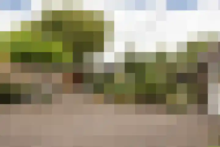 Zeilstraat 9 Sneek thumbnail 35