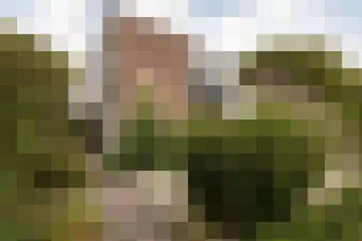 Zeilstraat 9 Sneek thumbnail 41