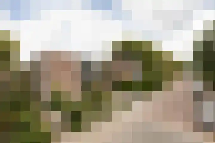 Zeilstraat 9 Sneek thumbnail 43