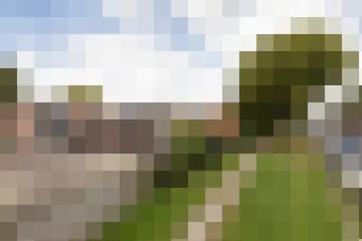 Zeilstraat 9 Sneek thumbnail 47