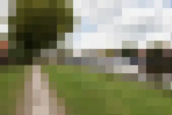 Zeilstraat 9 Sneek thumbnail 48