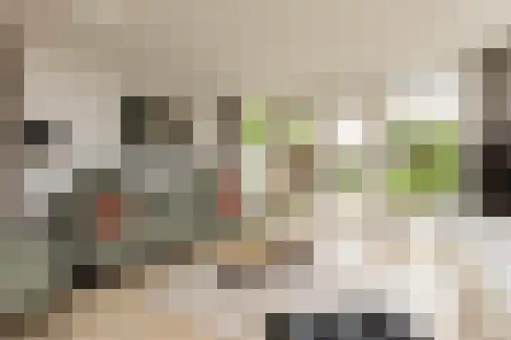 Zeilstraat 9 Sneek thumbnail 6