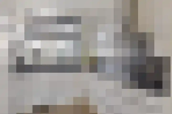 Zeis 13 Brielle thumbnail 12