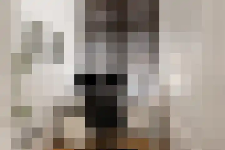 Zeis 13 Brielle thumbnail 13