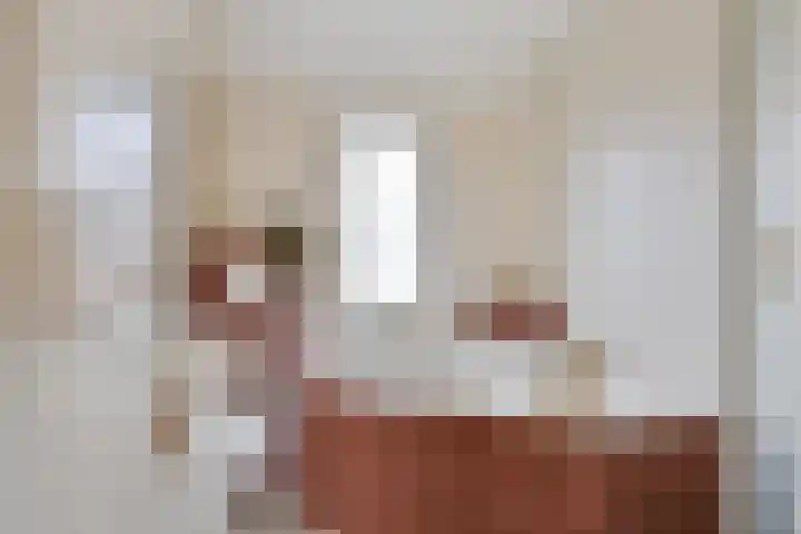 Zeis 13 Brielle thumbnail 15