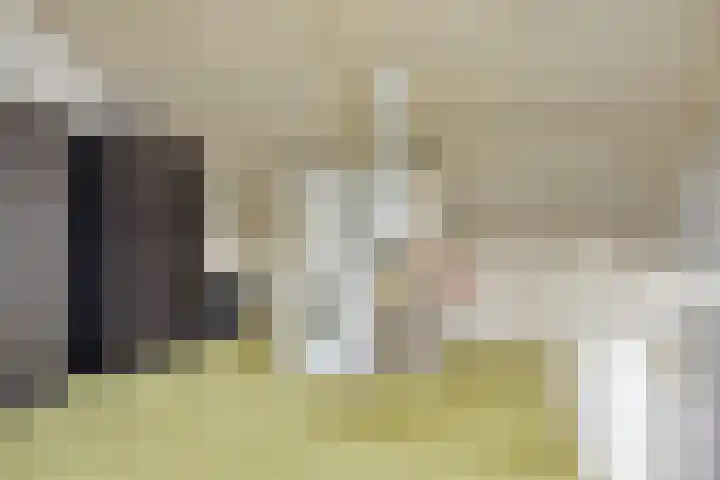 Zeis 13 Brielle thumbnail 18