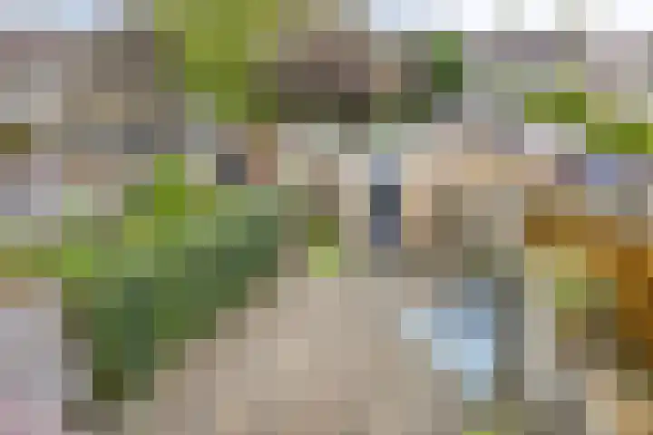 Zeis 13 Brielle thumbnail 20