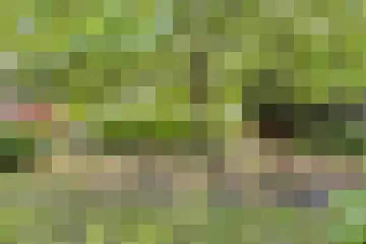 Zeis 13 Brielle thumbnail 21