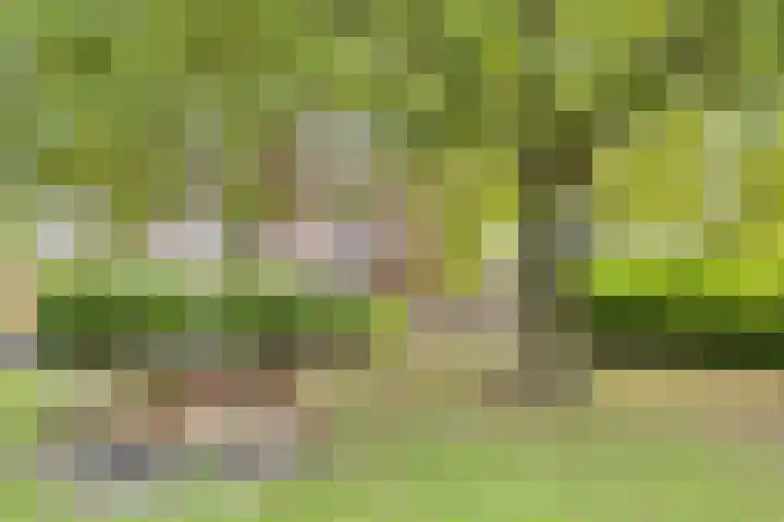 Zeis 13 Brielle thumbnail 22