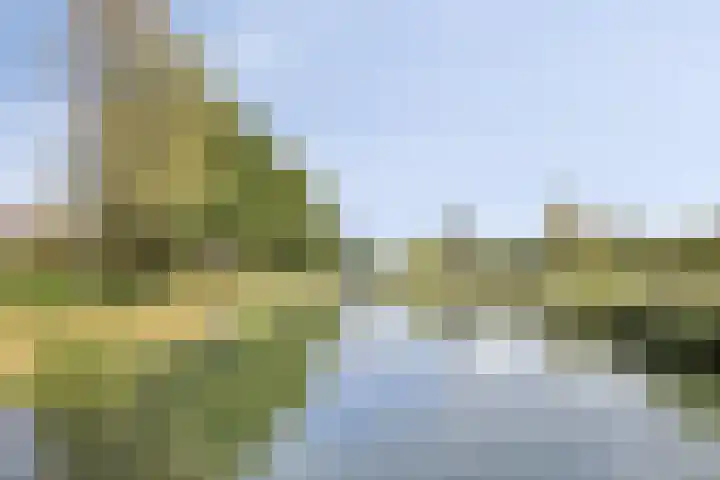 Zeis 13 Brielle thumbnail 23