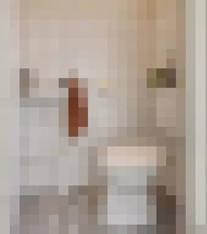 Zeis 13 Brielle thumbnail 8