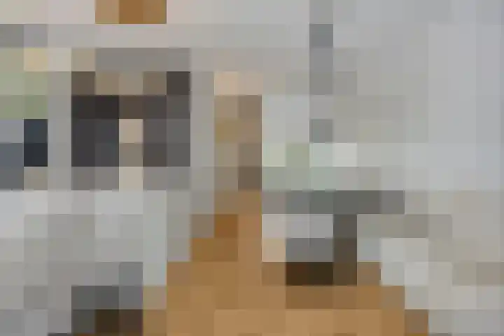 Zeis 13 't Zand thumbnail 14