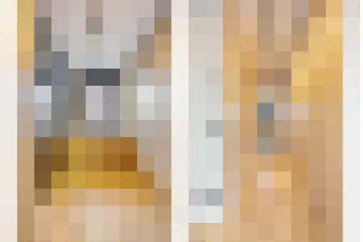 Zeis 13 't Zand thumbnail 20
