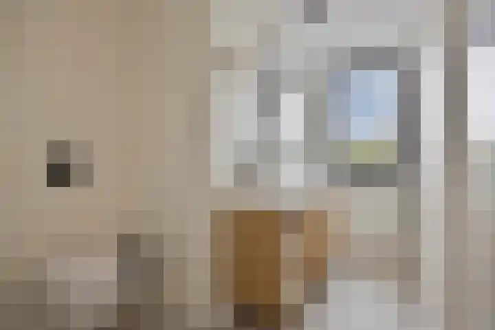 Zeis 13 't Zand thumbnail 23
