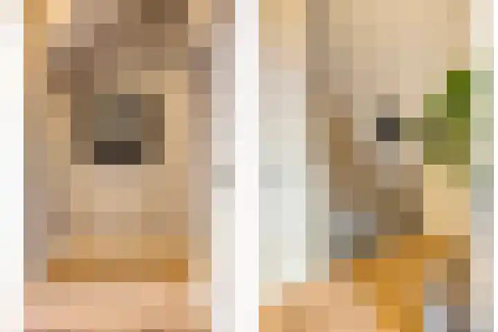 Zeis 13 't Zand thumbnail 26