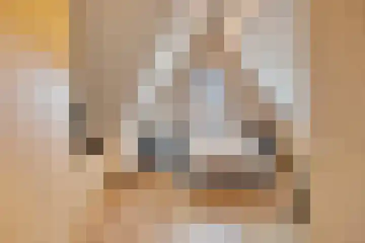 Zeis 13 't Zand thumbnail 27