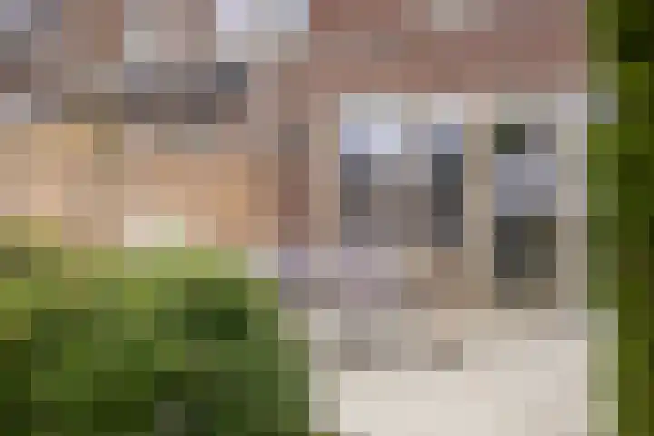 Zeis 13 't Zand thumbnail 33