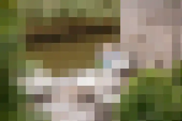 Zeis 13 't Zand thumbnail 37