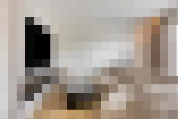 Zeis 13 't Zand thumbnail 6