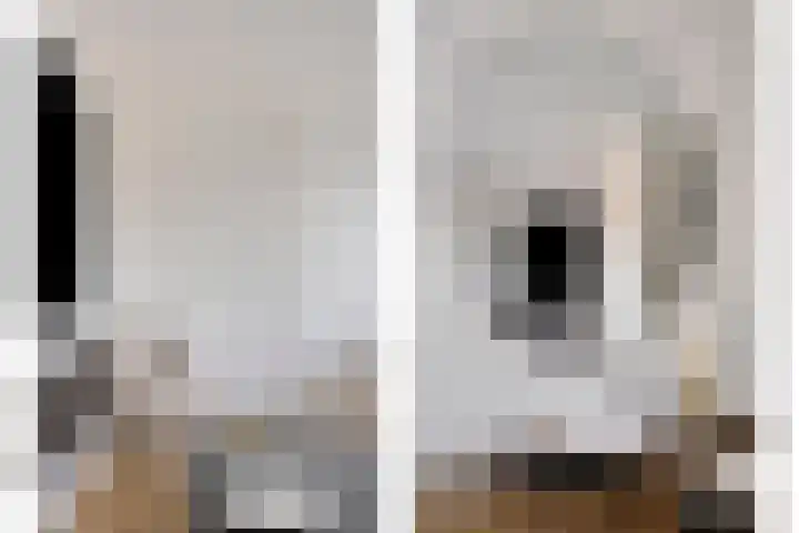 Zeis 13 't Zand thumbnail 8