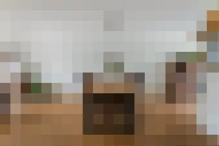 Zeis 14 Holten thumbnail 11