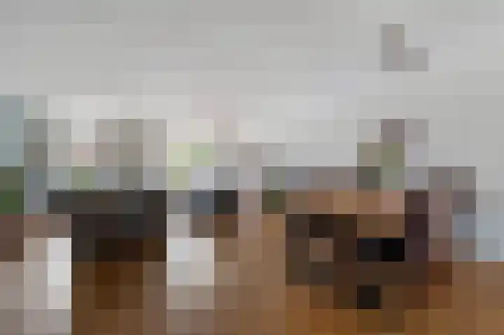 Zeis 14 Holten thumbnail 13