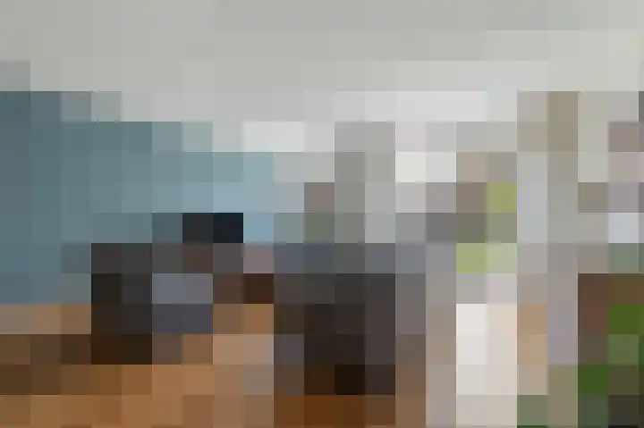 Zeis 14 Holten thumbnail 15