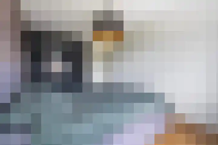 Zeis 14 Holten thumbnail 20