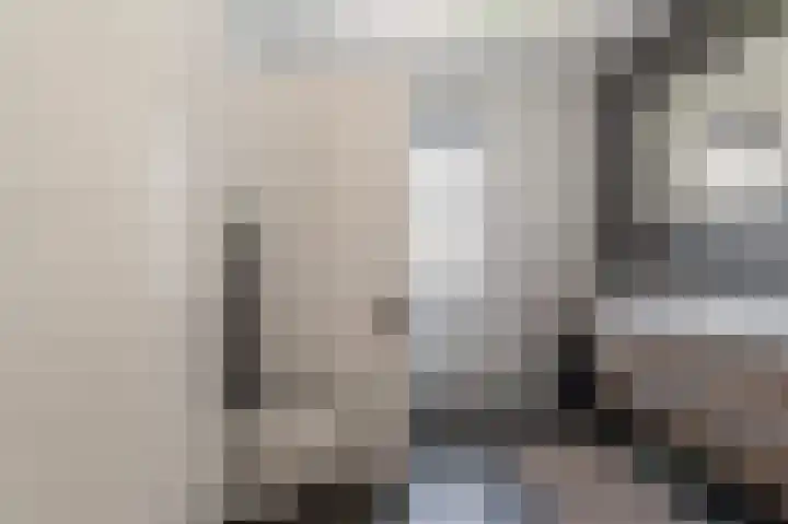 Zeis 14 Holten thumbnail 21
