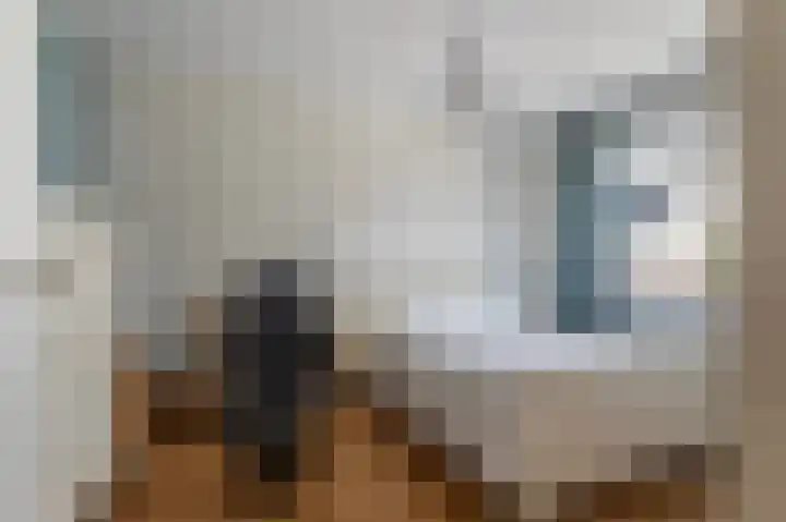 Zeis 14 Holten thumbnail 23
