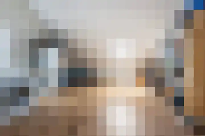 Zeis 14 Holten thumbnail 26