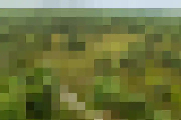 Zeis 14 Holten thumbnail 30