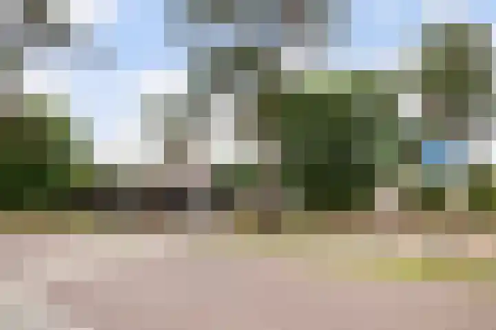 Zeis 14 Holten thumbnail 31