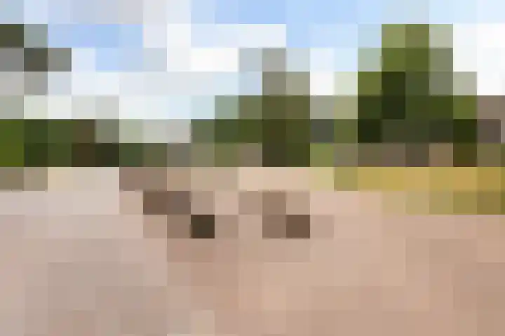 Zeis 14 Holten thumbnail 32