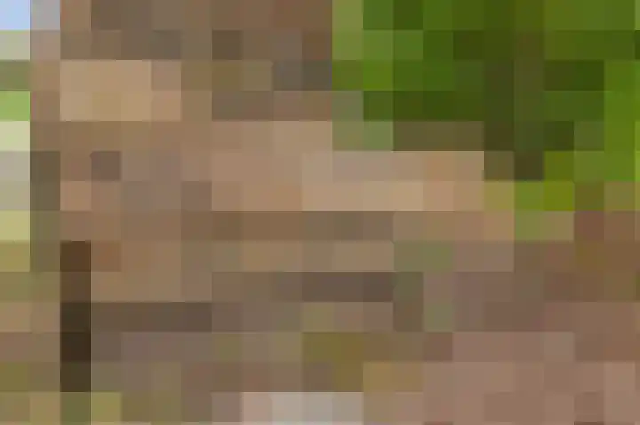 Zeis 14 Holten thumbnail 33