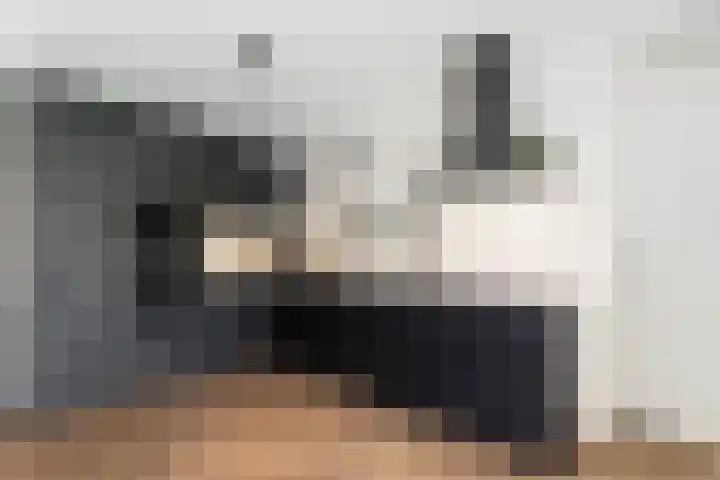 Zeis 21 't Zand thumbnail 16