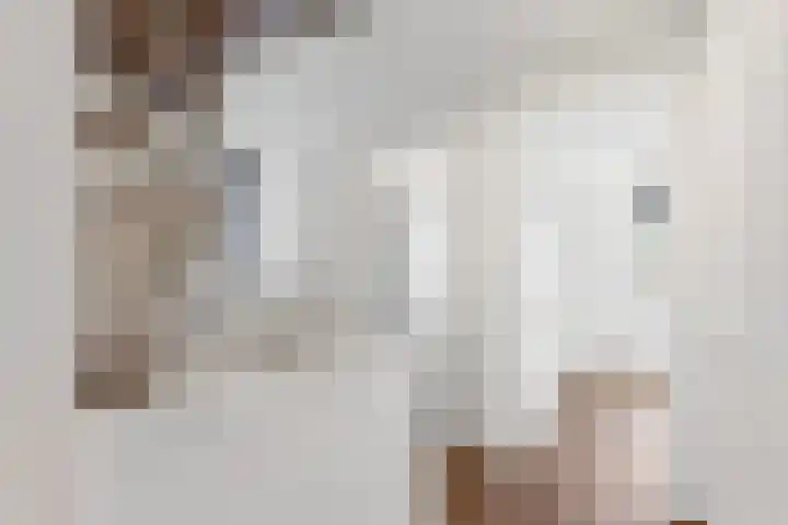 Zeis 21 't Zand thumbnail 41