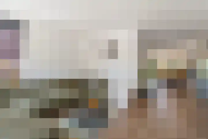 Zeis 21 't Zand thumbnail 8