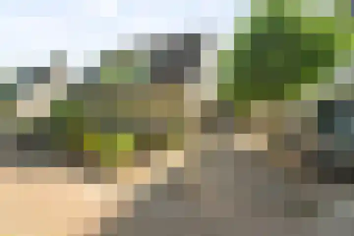 Zeis 31 Wieringerwerf