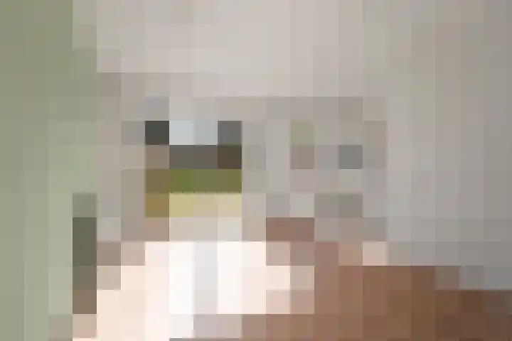 Zeis 31 Wieringerwerf thumbnail 10