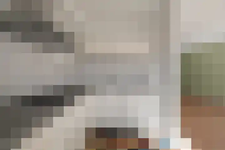 Zeis 31 Wieringerwerf thumbnail 12