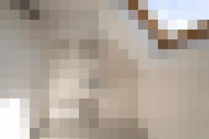 Zeis 31 Wieringerwerf thumbnail 21