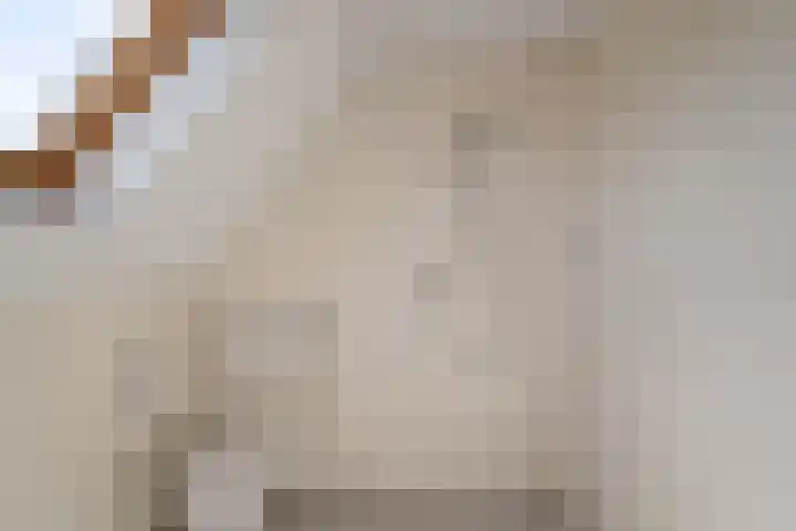 Zeis 31 Wieringerwerf thumbnail 22