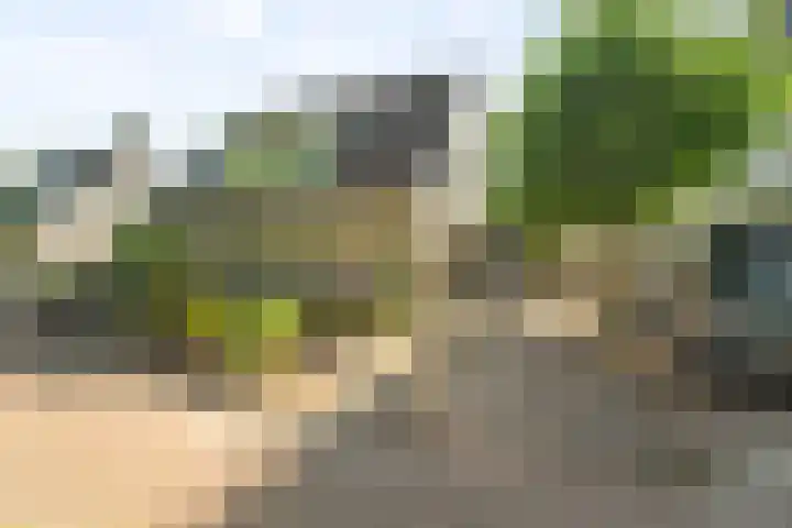Zeis 31 Wieringerwerf thumbnail 30